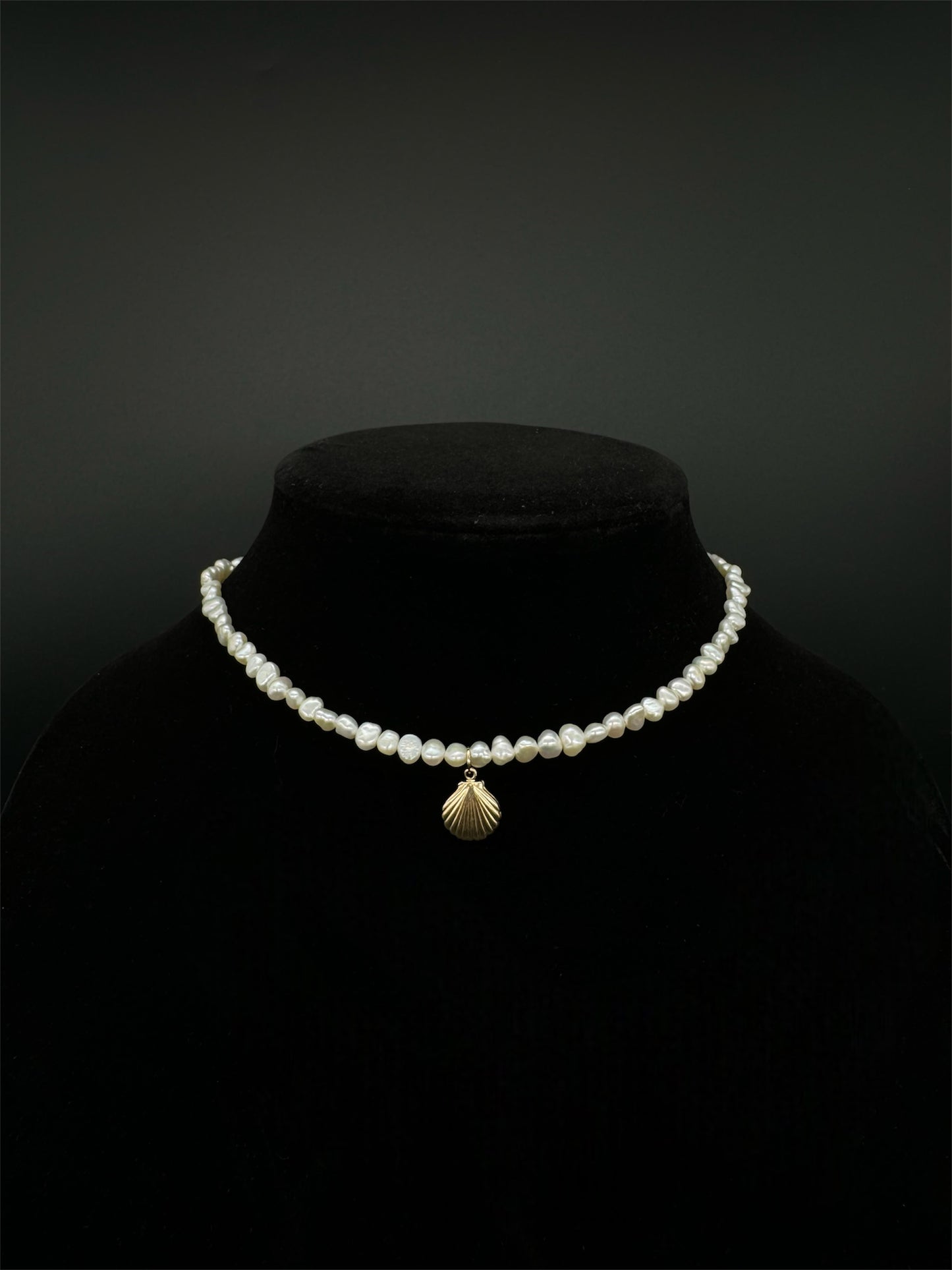 Sea Shell Necklace